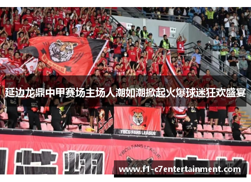 延边龙鼎中甲赛场主场人潮如潮掀起火爆球迷狂欢盛宴 延边龙鼎中甲赛场主场人潮如潮掀起火爆球迷狂欢盛宴