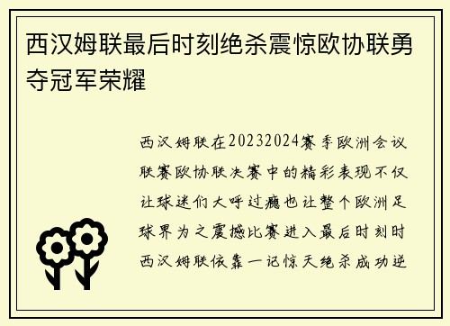 西汉姆联最后时刻绝杀震惊欧协联勇夺冠军荣耀 西汉姆联最后时刻绝杀震惊欧协联勇夺冠军荣耀